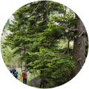 Nikolaos Vallas profile picture